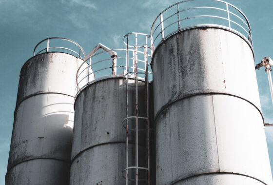 जनावरांना गोठा कुक्कुटपालन शेड